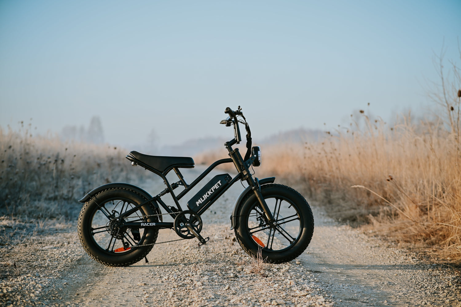 7 Hidden Benefits of Owning an Electric Bike That Nobody Talks About