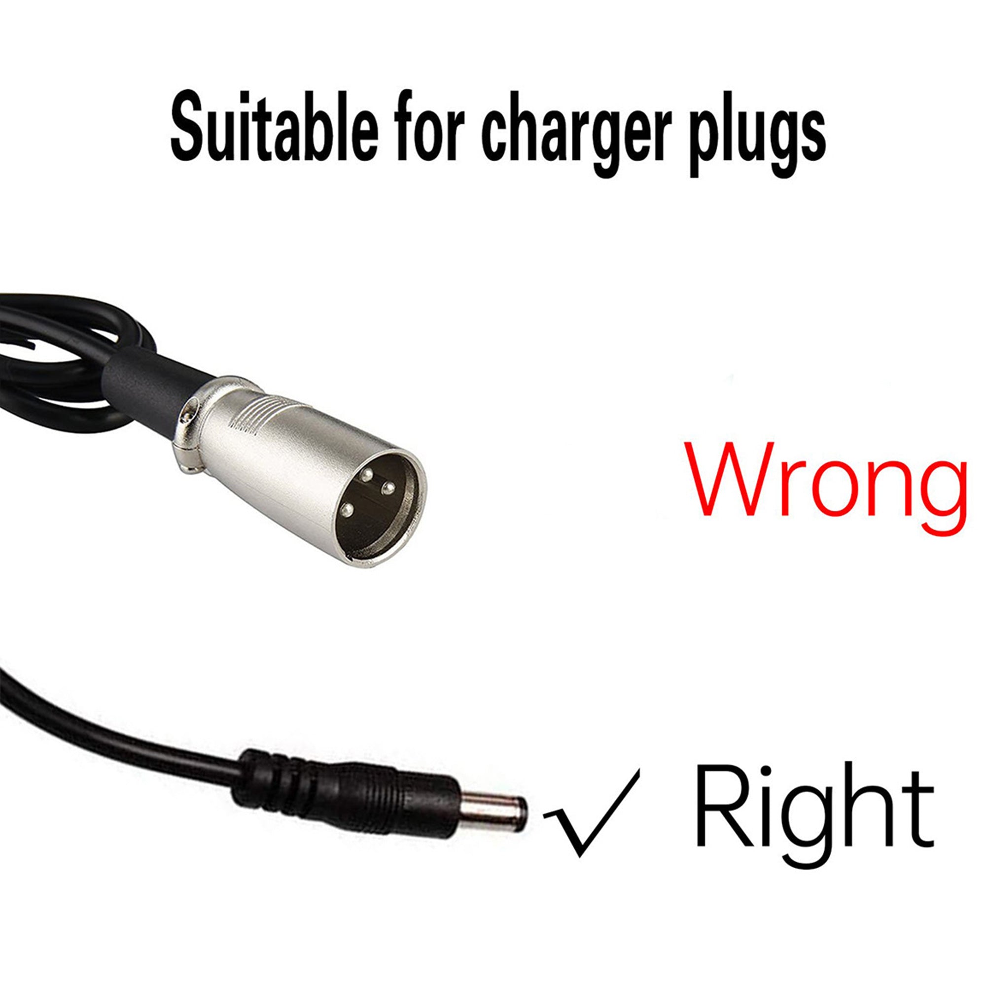 Rattan Battery Charger 48V 3A (With DC connector)