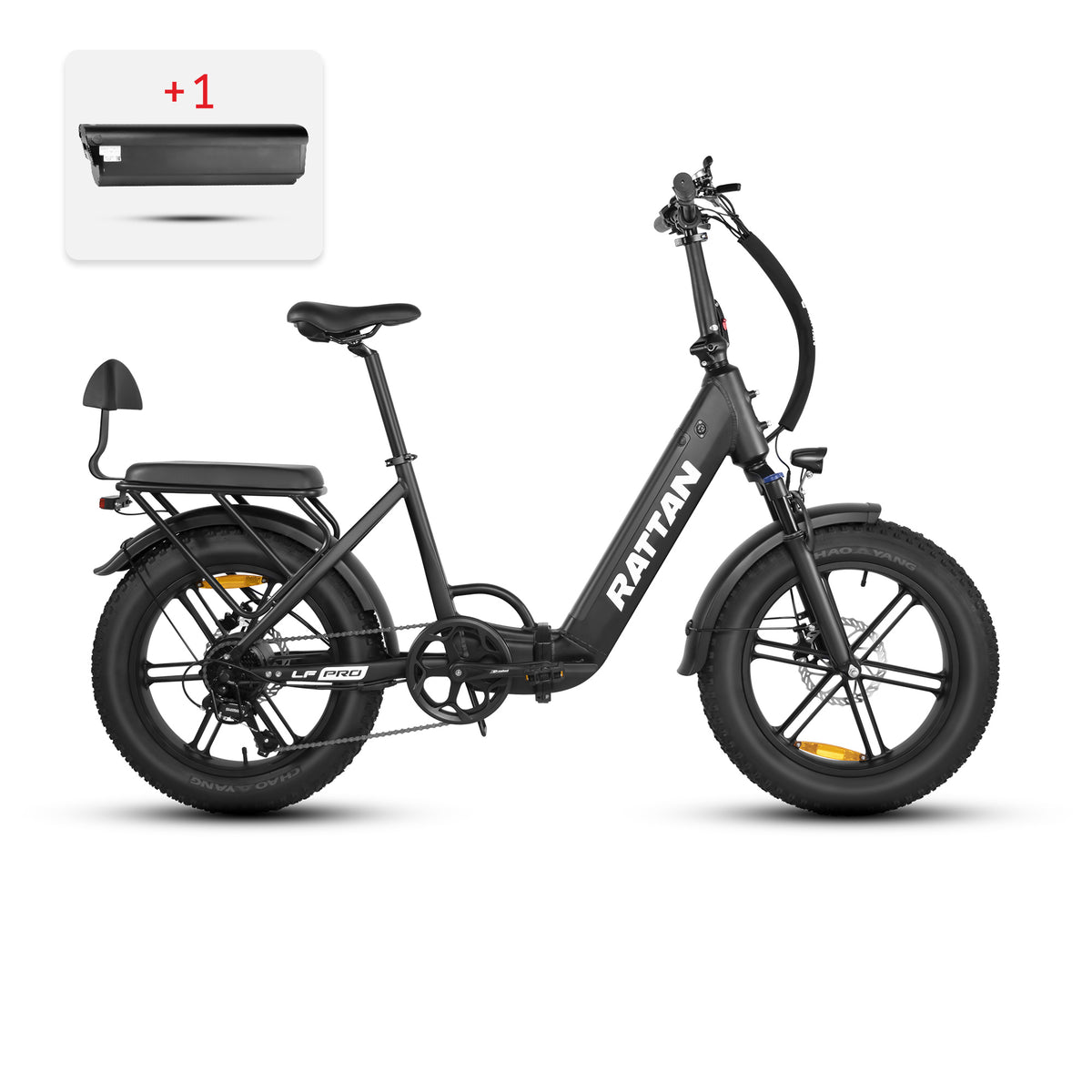 Rotin Pathfinder Pro (Europe)