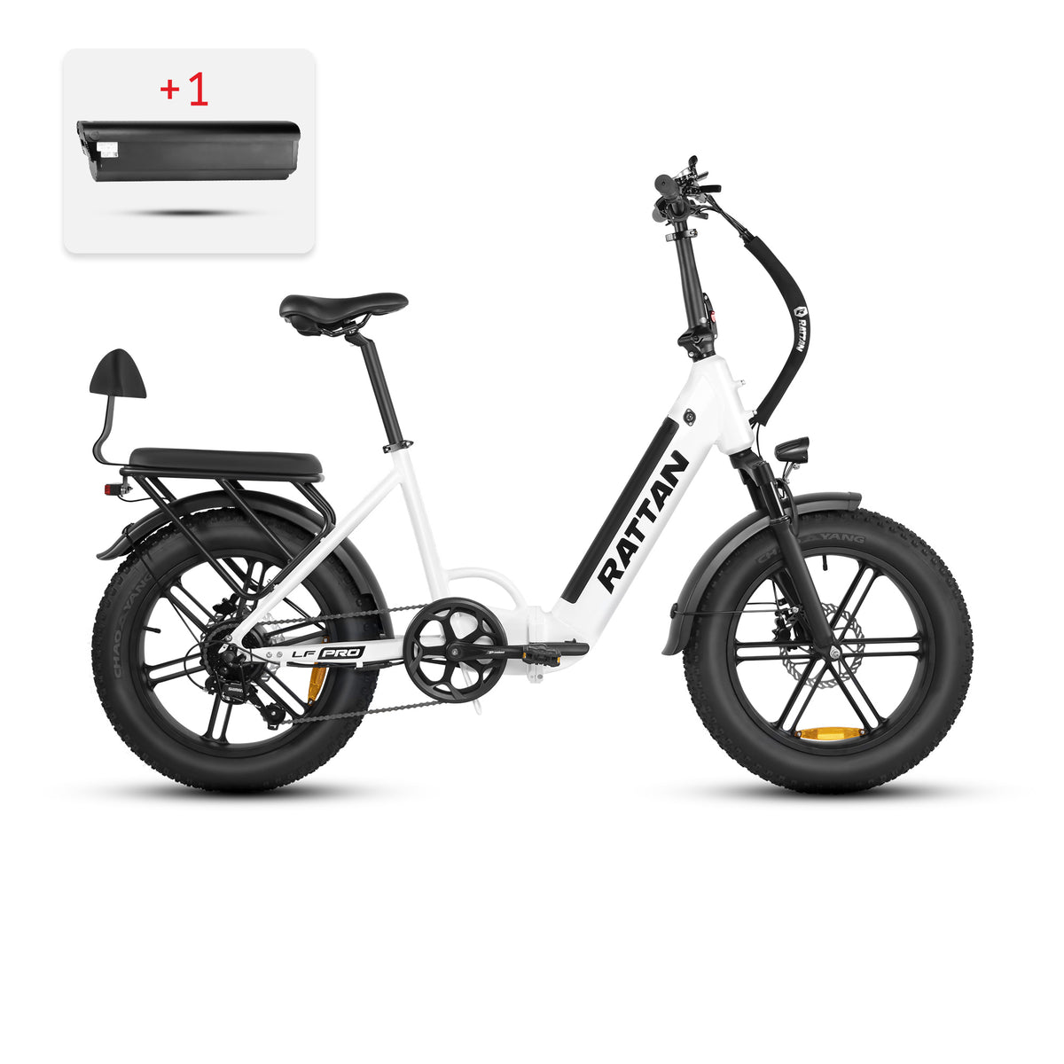 Rotin Pathfinder Pro (Europe)