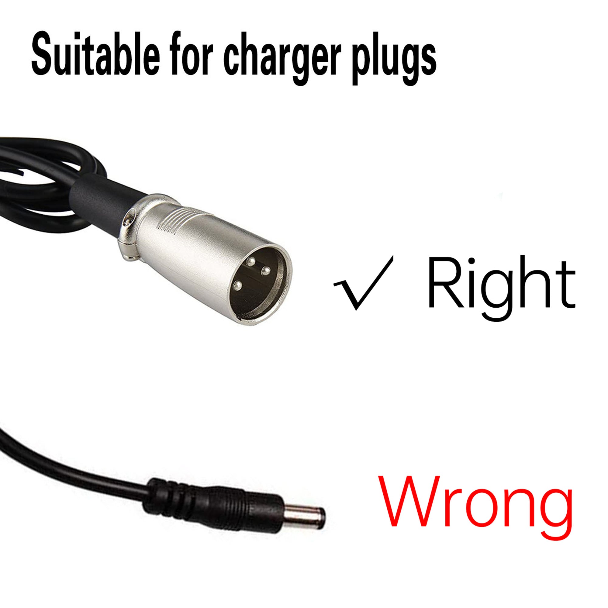 Rattan LM/LF Battery Charger 48V 2A (With 3-pin plug connector)